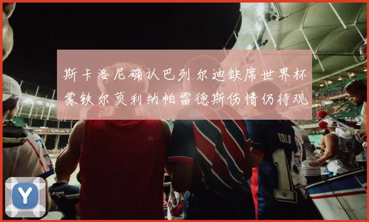 斯卡洛尼确认巴列尔迪缺席世界杯蒙铁尔莫利纳帕雷德斯伤情仍待观察